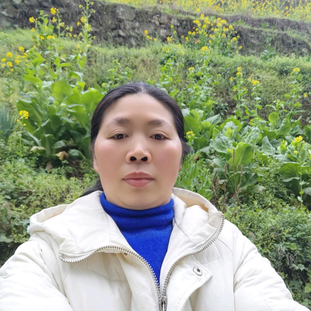 林大姐