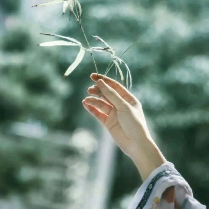 达江老师的小迷妹儿🍀🍀🍀