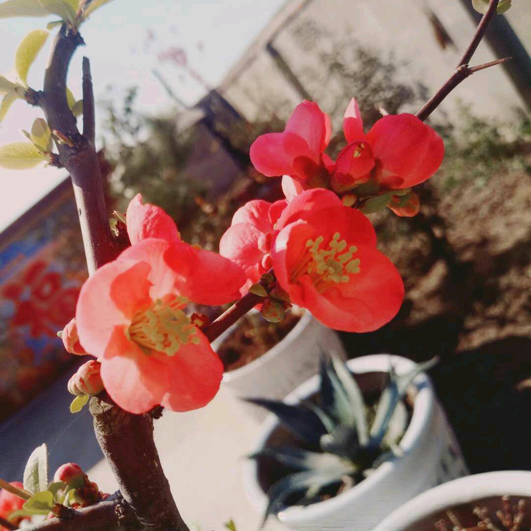 真心留给懂你的人