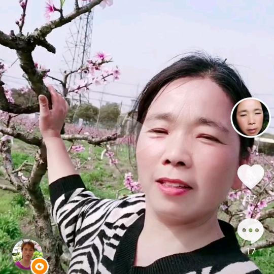 艳姐i