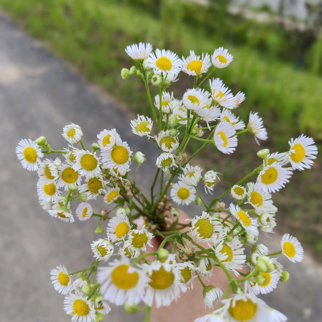 开心食品优选