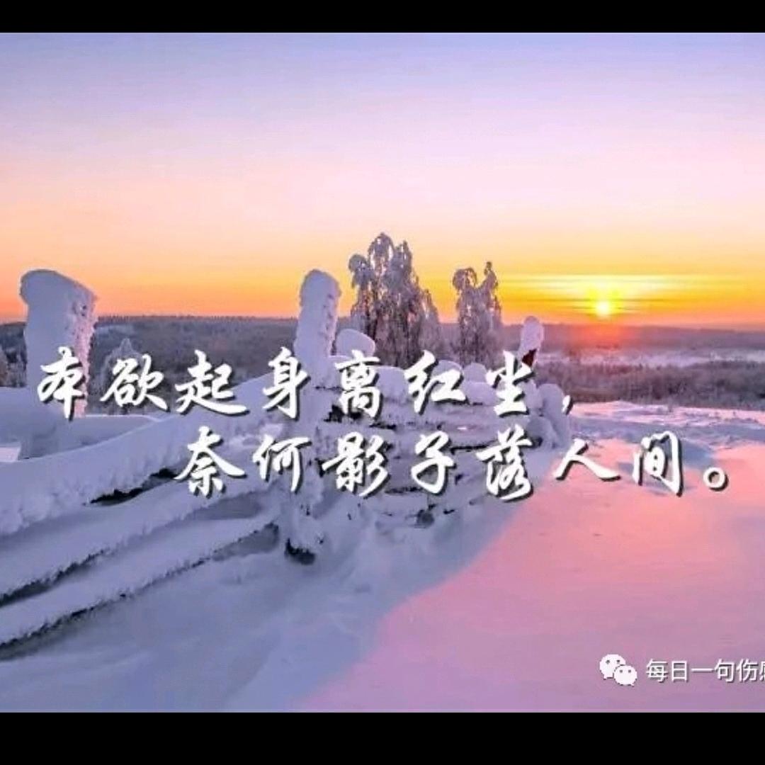 平安渡红尘
