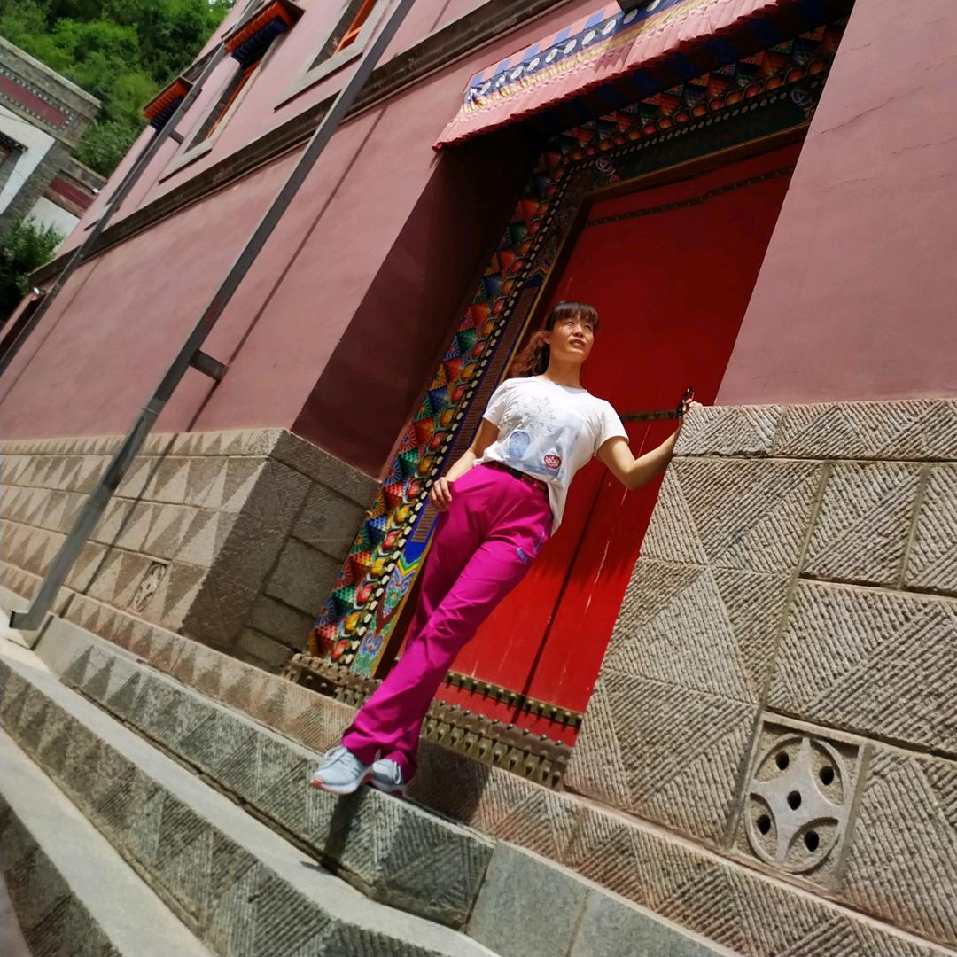 向日葵🌻🌻🌻