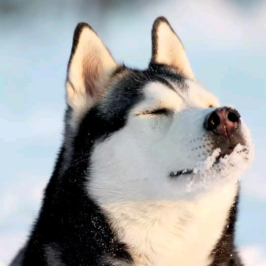 亭凉