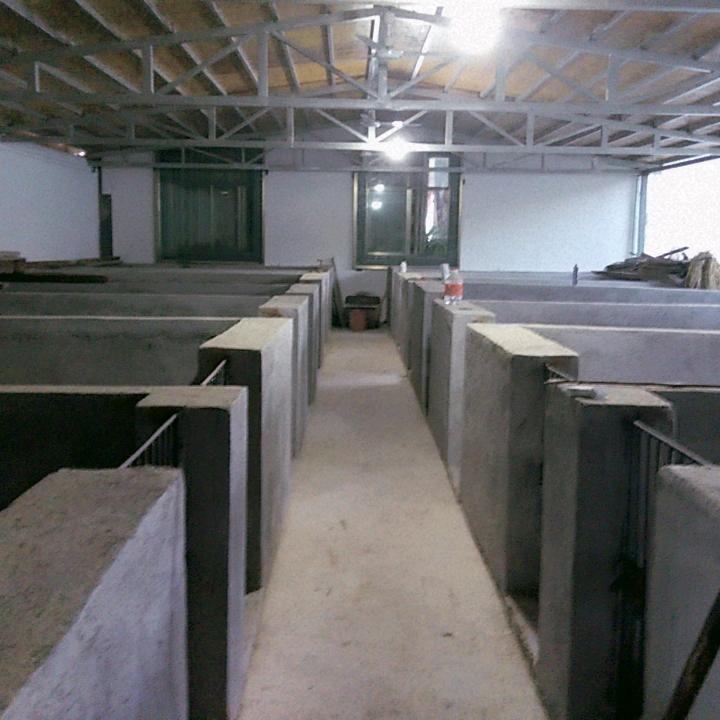 我命由我不由天