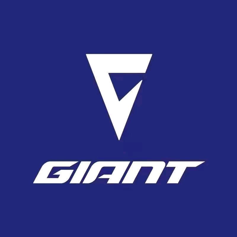 捷安特锡沪路东亭店