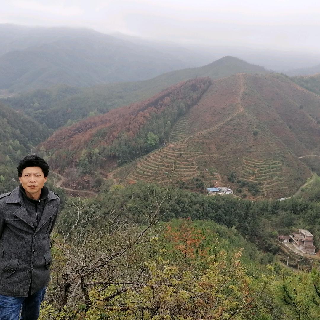 清欣农场农产品