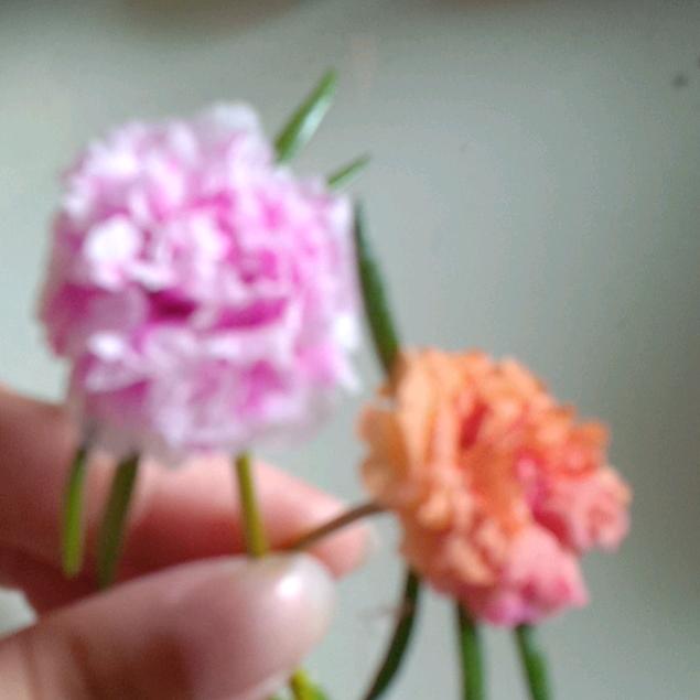 (*^ω^*)