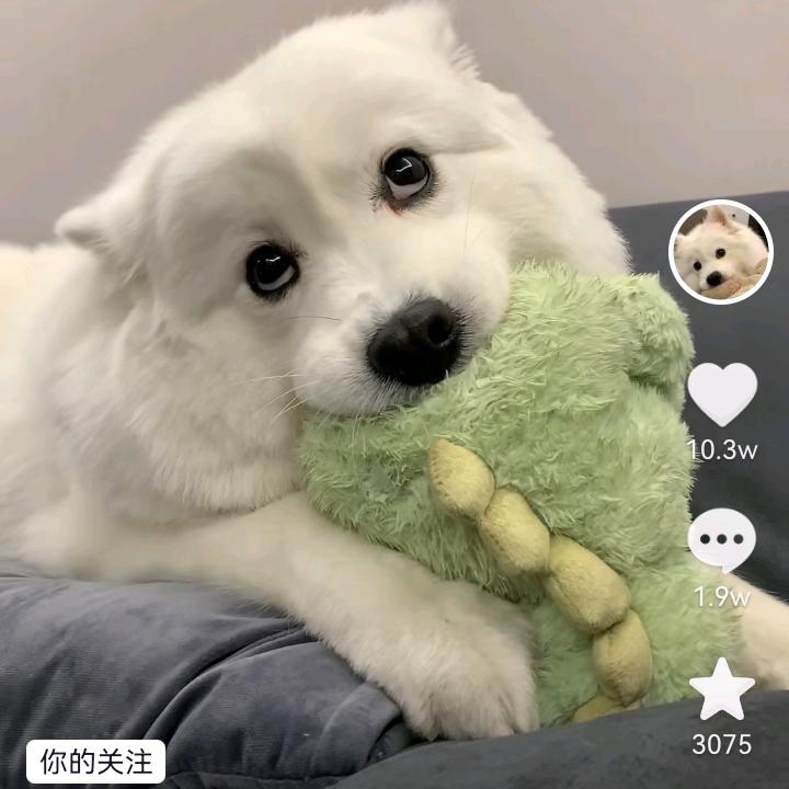 小雨点a