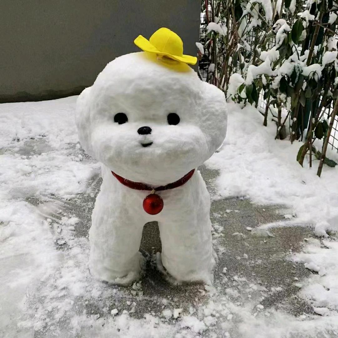 瑞雪中的一道光彩