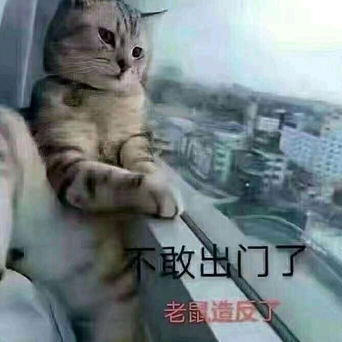 雨