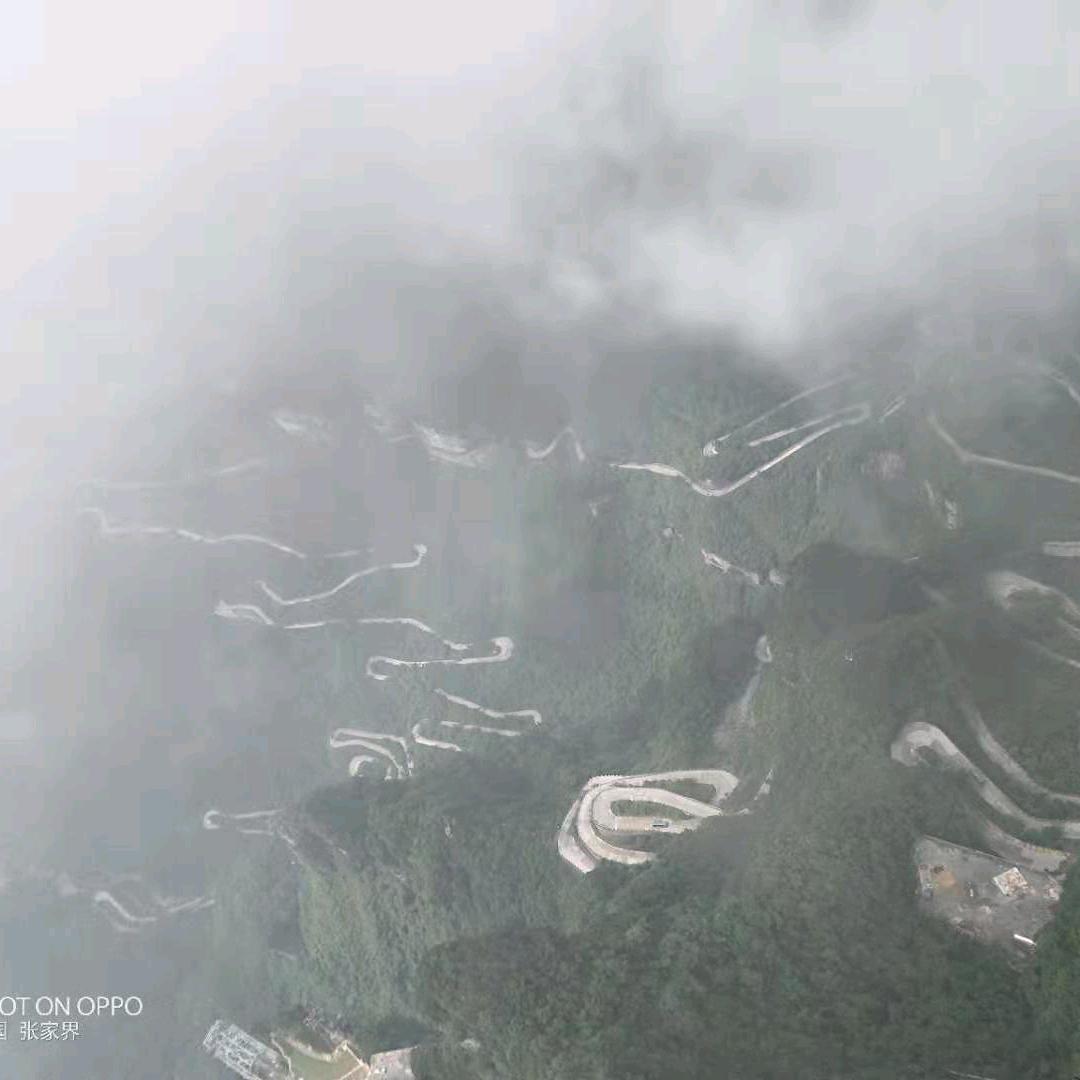 完美弧线
