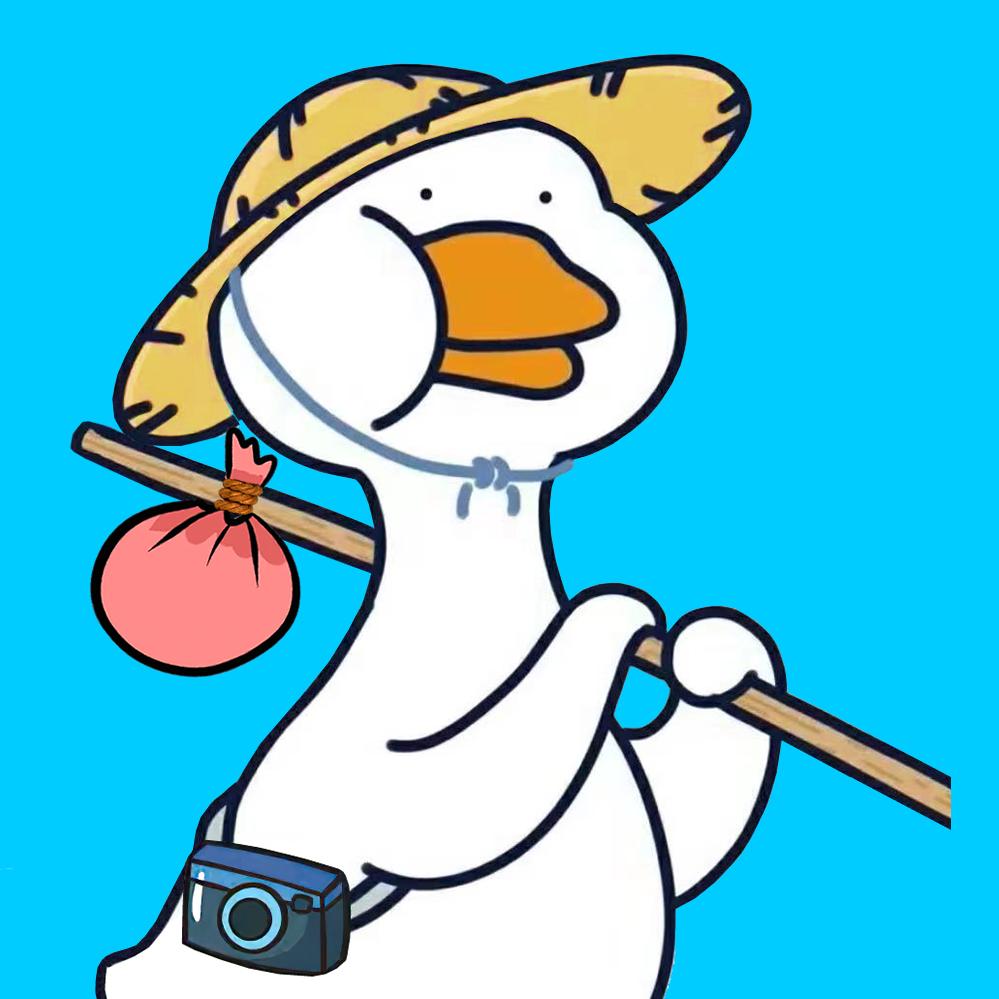发现地球鸭