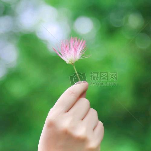 十年好物推荐(视频同款在橱窗)