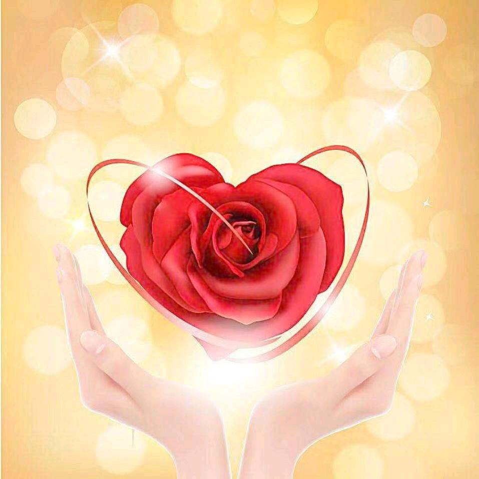 🥀₅²⁰💃薛舞轻杨¹ᶟ₁₄