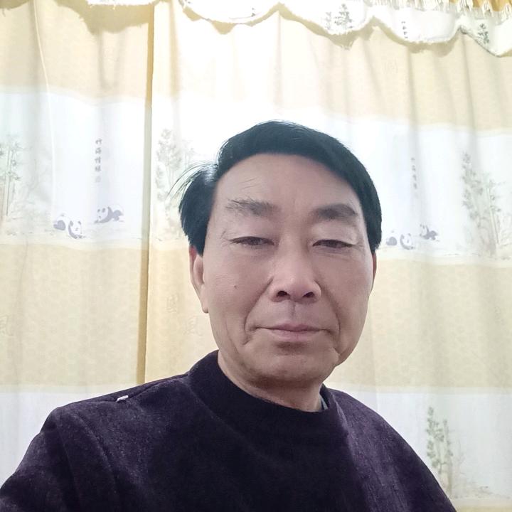 贺金保