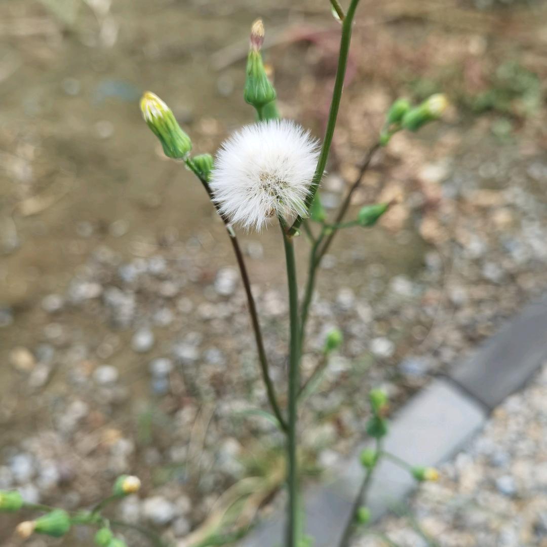 大港星辰感统训练基地