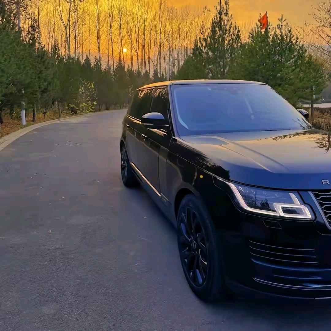 澈.D           🪳