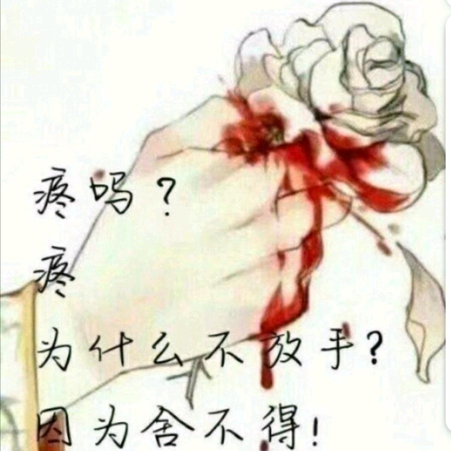 独醉.