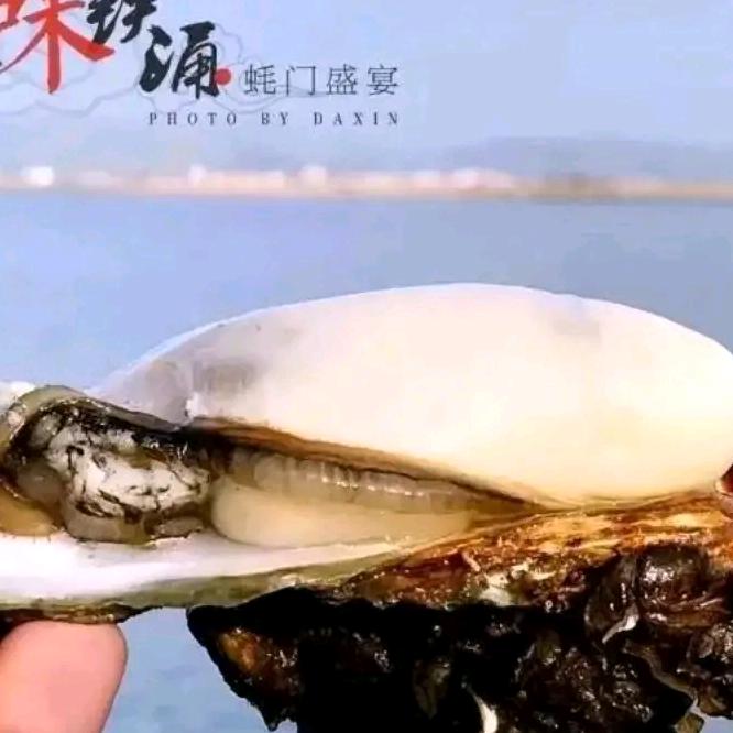 惠东生蚝🦪🦐🦀批发