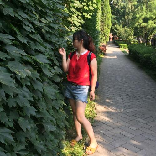 钱途一片光明