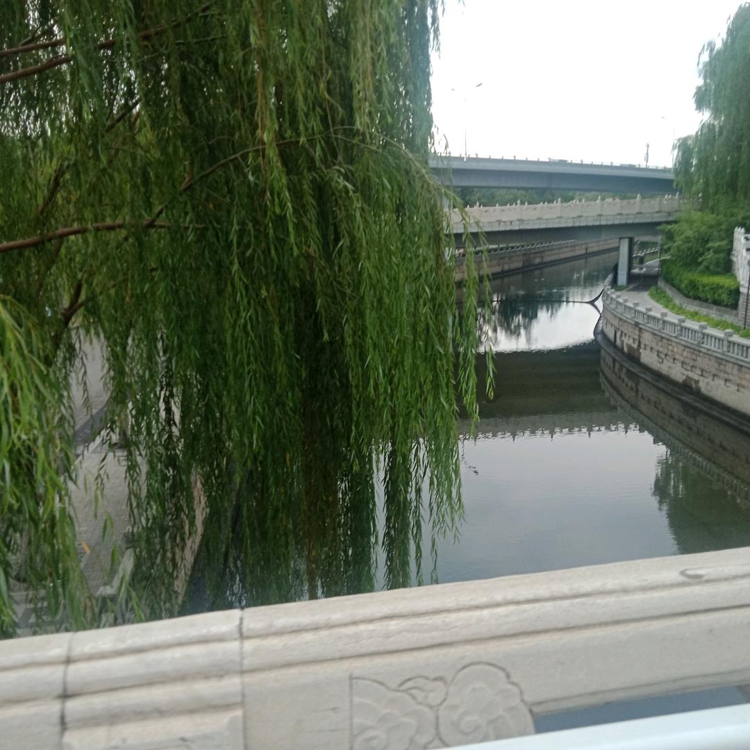赵魑魅魍魉ポをを