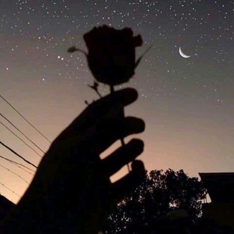 💞蓝 ᭄公子 ᭄💞