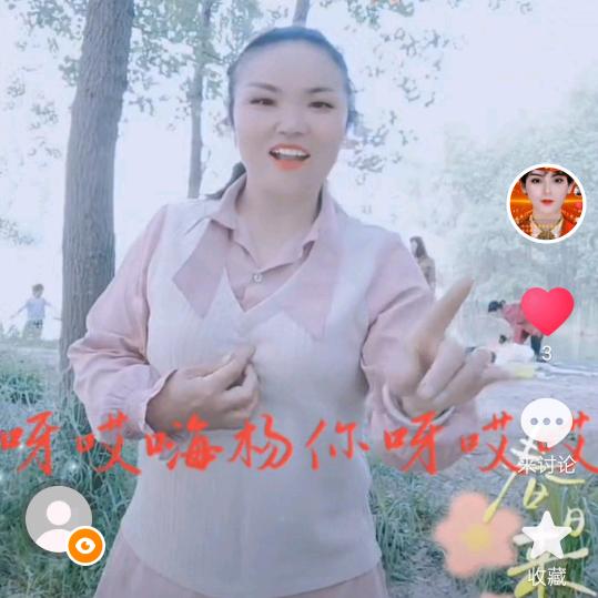 ″王"双沟非遗小车灯表演艺术团