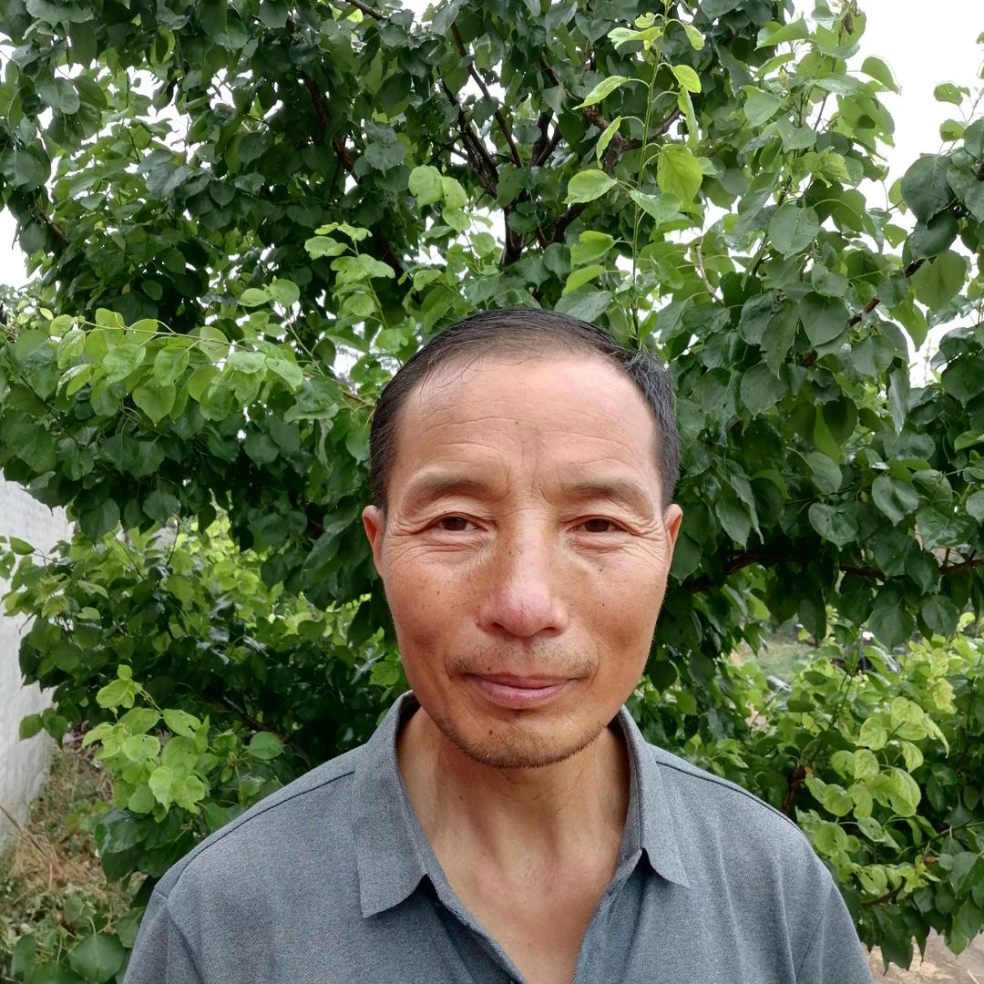 悬壶济世（赵）、