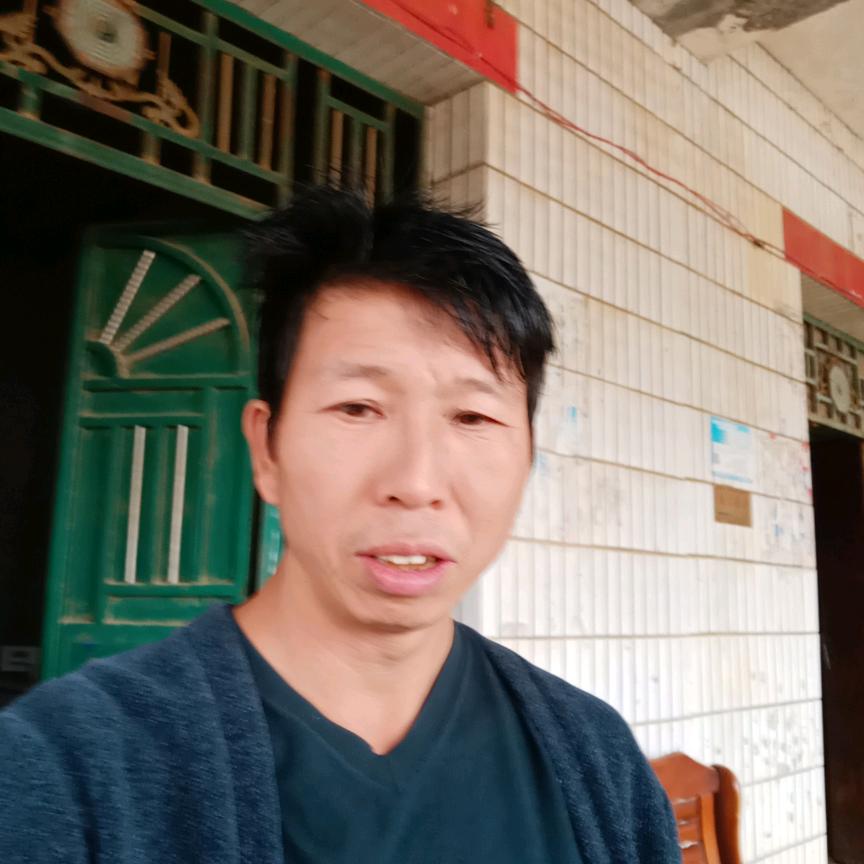懒龙