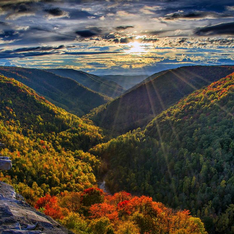 ঞᩚ顺ᩚ其ᩚდᩚ自ᩚ然ᩚ🐬