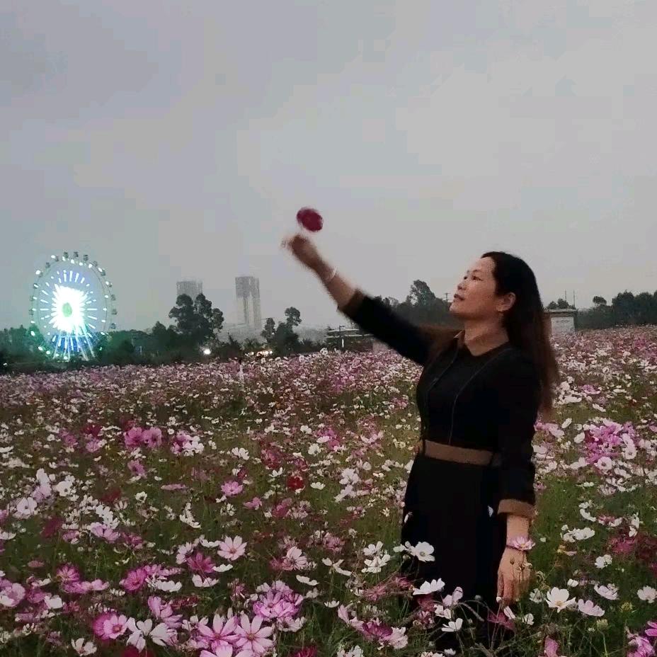 顺其自然