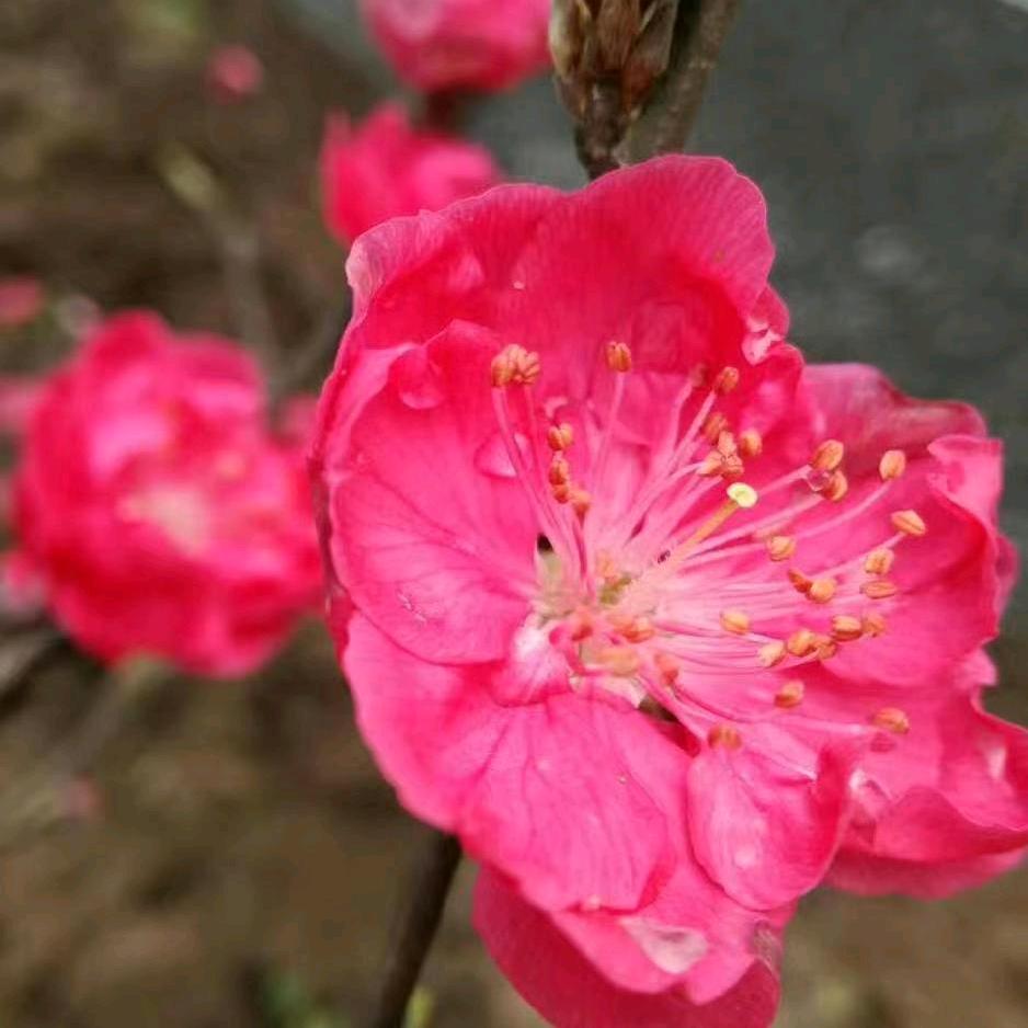 @敏敏