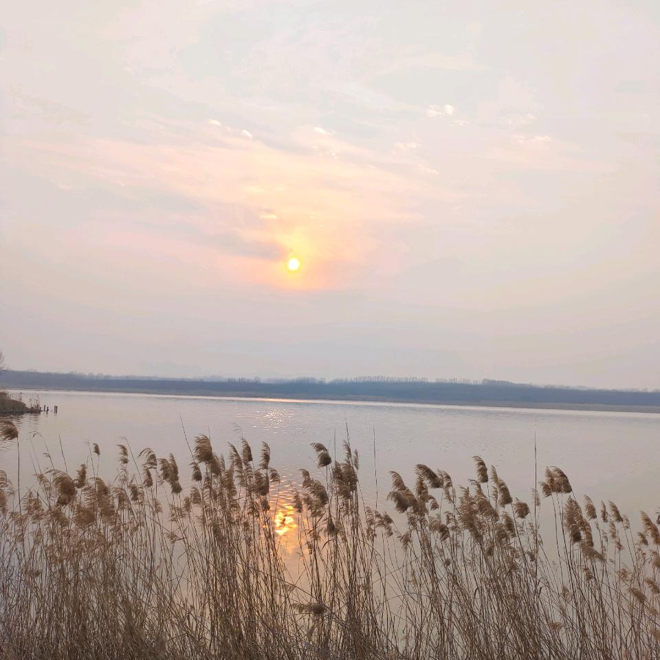 順其自然，一切隨緣