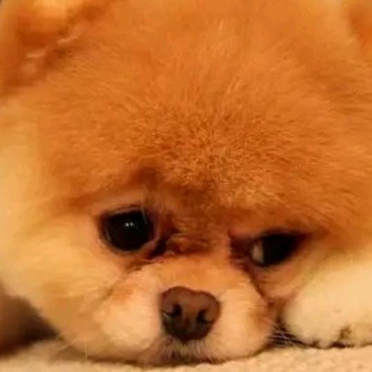 牢笼