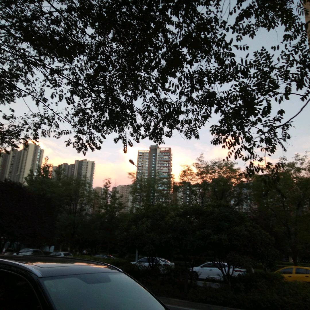 莫道桑榆晚（大象无形1）