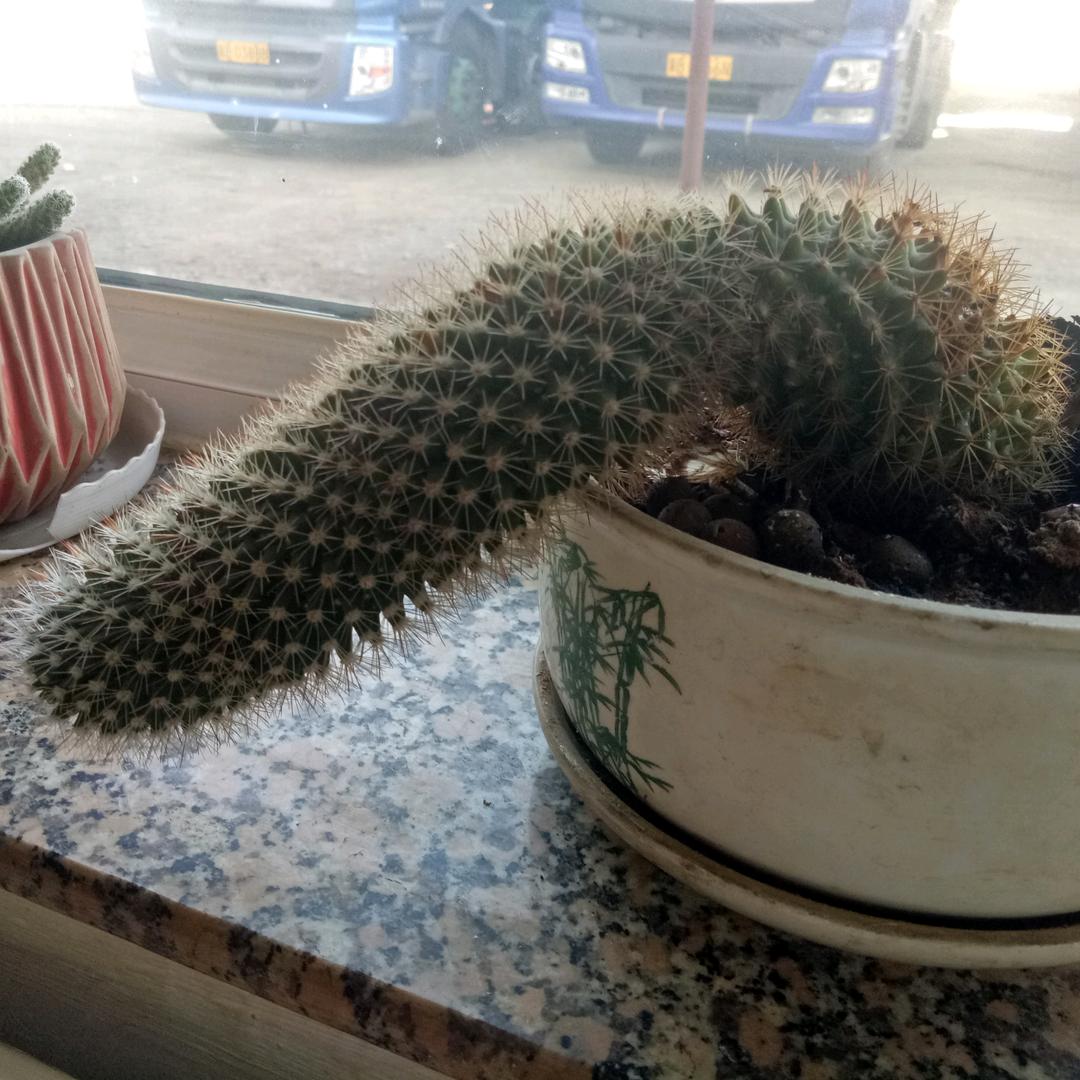 随风，而去（读书分享）