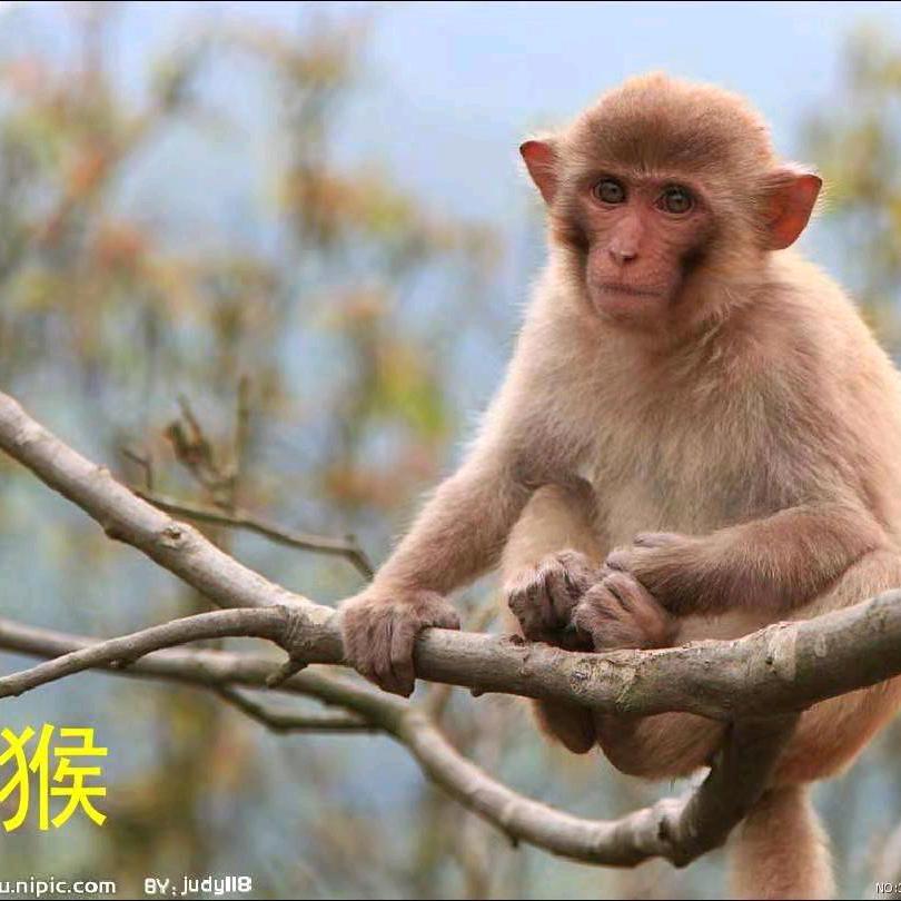 东少，专业装修套房