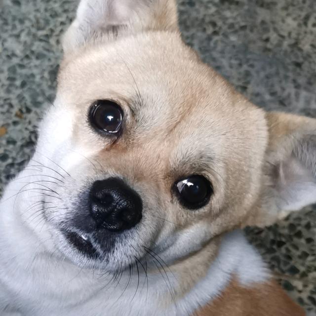 快点扶我.