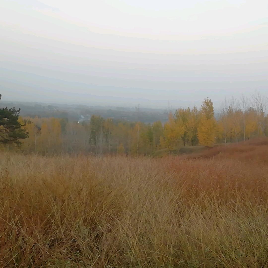 丰