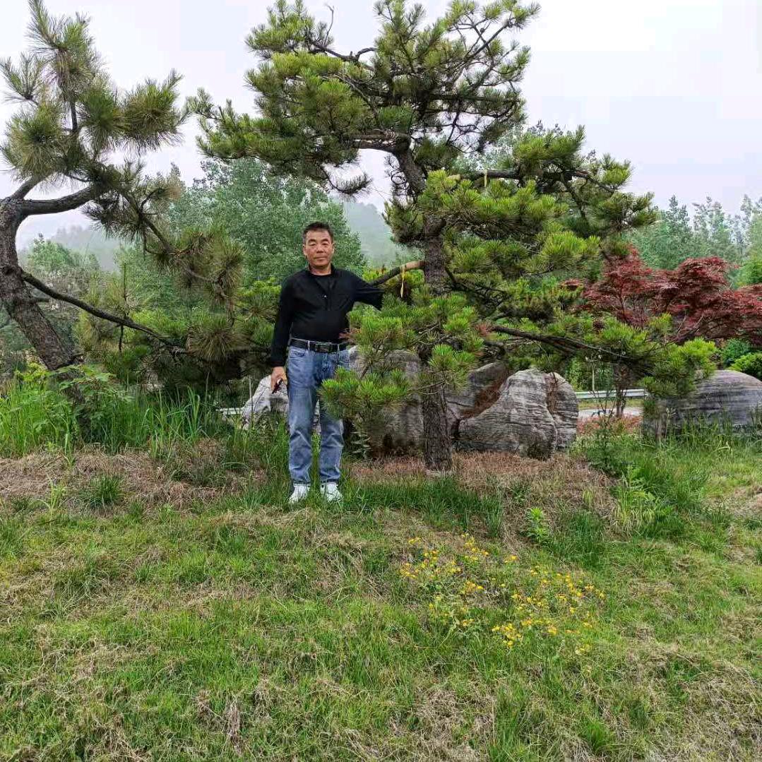 余生安好