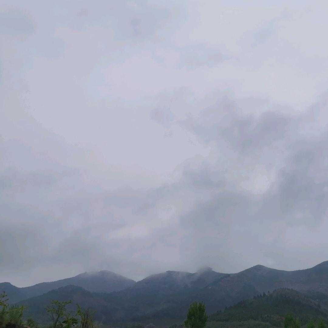 十一阿哥💤💤💤