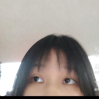 兔子
