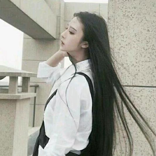 周氏公司的秦燃头像
