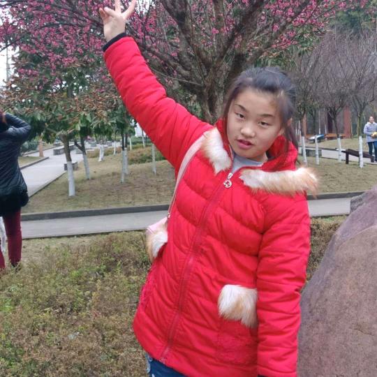 美好的家园