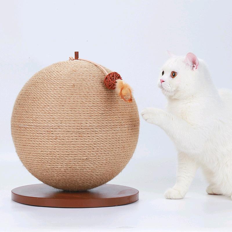 猫哥神话