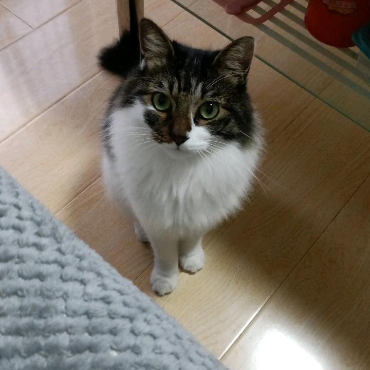 猎夜者与点点