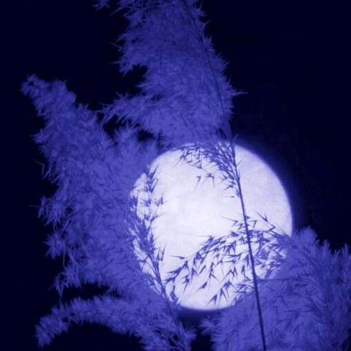 流星🌠