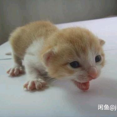 🌈🌈嘉垚🌈🌈