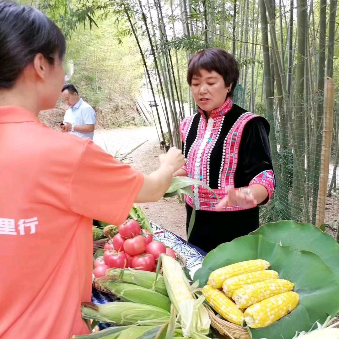 峨山纪业合作社一一李英